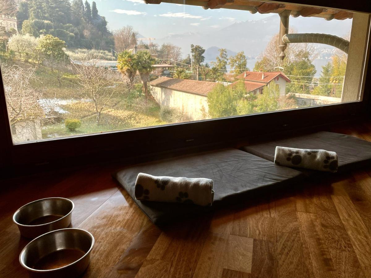Appartamenti Casa Lory 贝拉焦 外观 照片