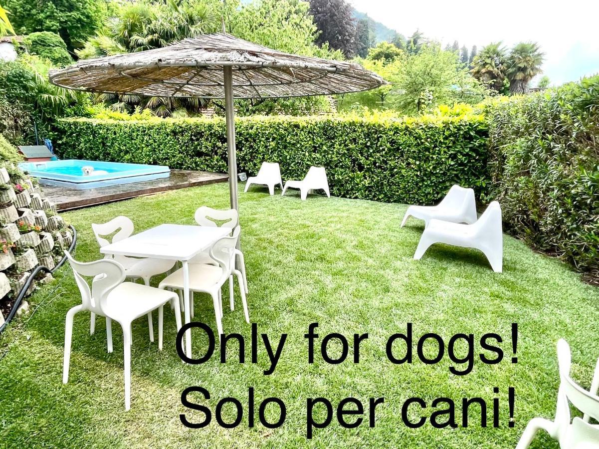 Appartamenti Casa Lory 贝拉焦 外观 照片
